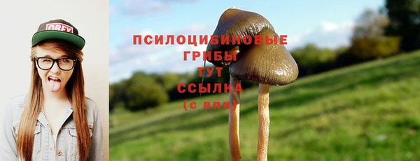 СК Абинск