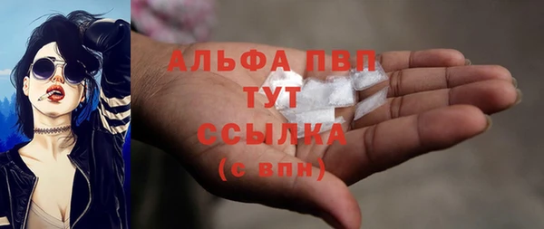 СК Абинск