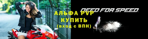 СК Абинск