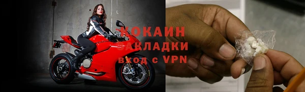 apvp Семилуки